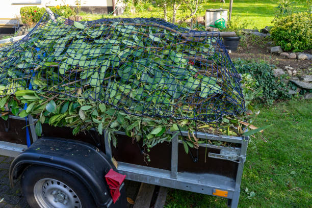 Best Estate Cleanout  in Selmer, TN